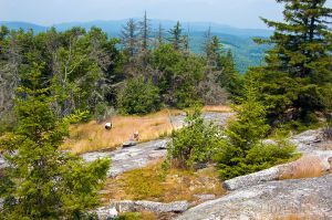 21  CC648-Picking-blueberries-on-Bog-Mountain-.jpg